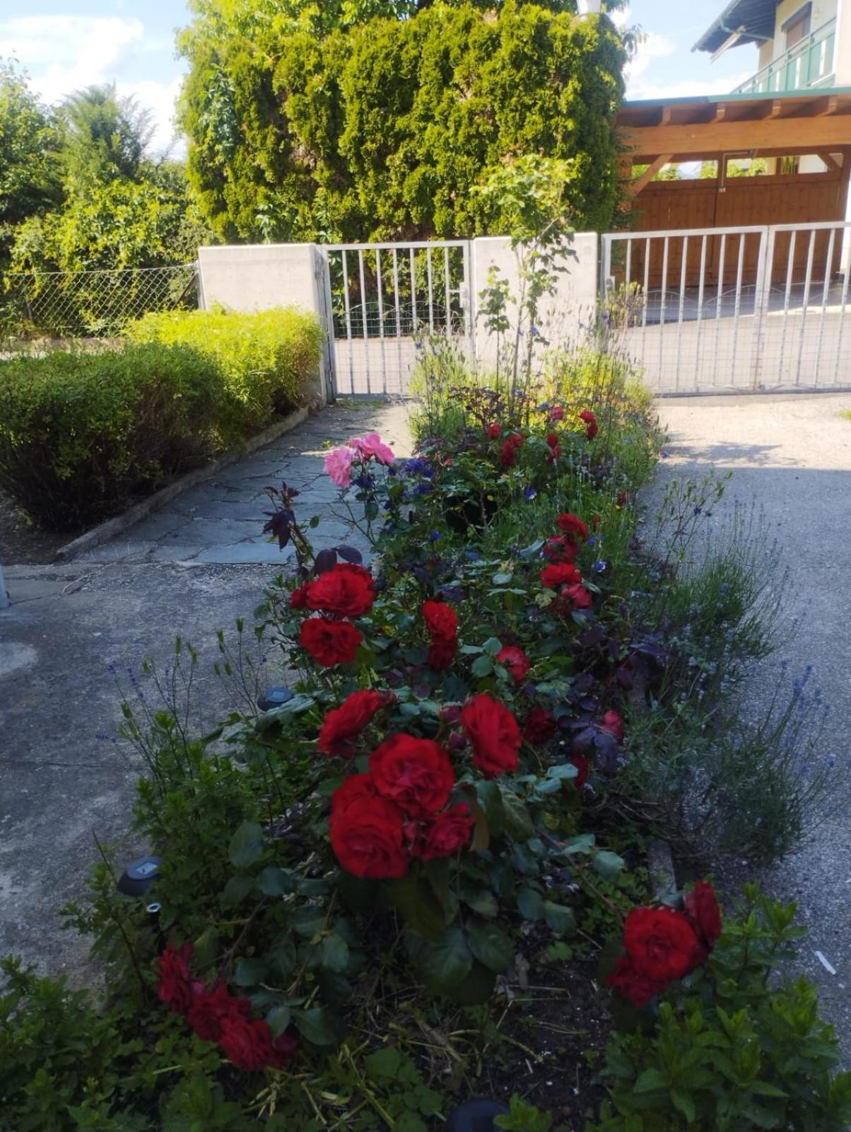 Ferienwohnung Familie Graf-Nafikov Klagenfurt am Wörthersee Exterior foto